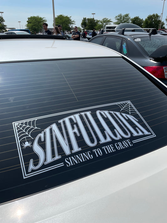 Spiderweb Box Banner